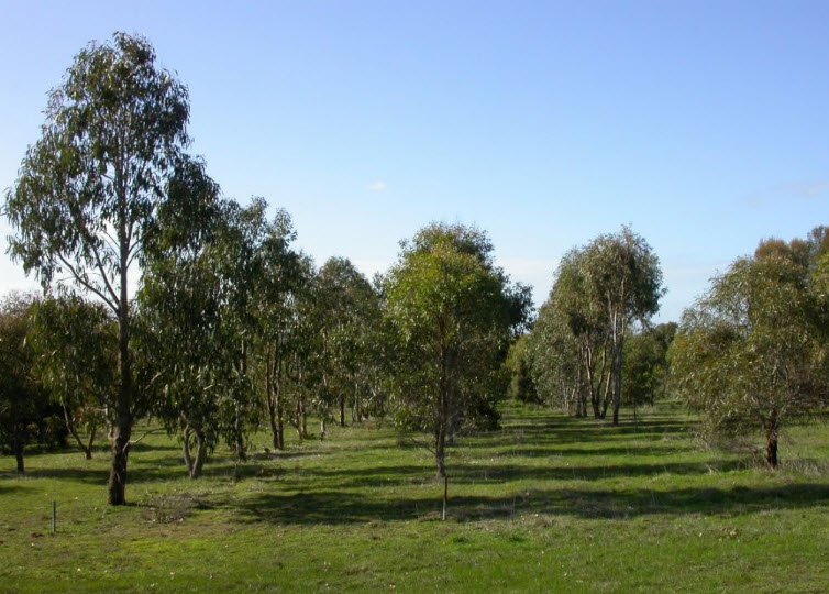 Currency Creek Arboretum, Currency Creek, Australia, Australia